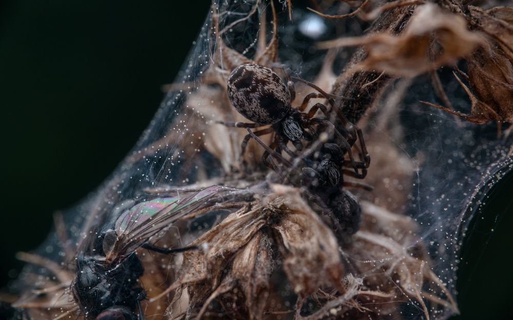 Photograph by Konstantin Shiryaev