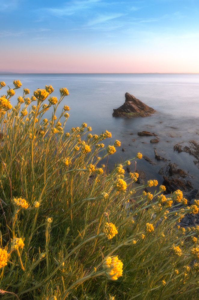 Photograph by Stefano Gelli