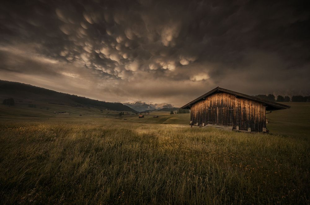 Photograph by Stefano Gelli