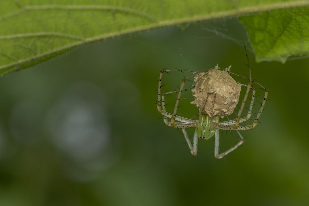 Photograph by Mukul Mukherjee