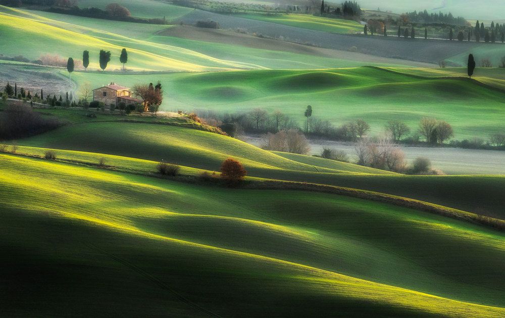 Photograph by Stefano Gelli