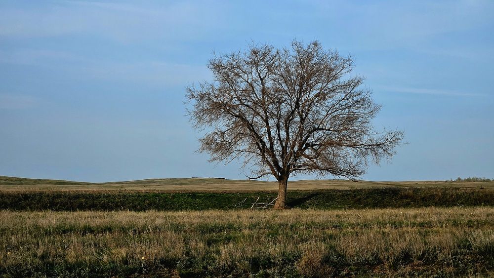 Photograph by Наталья Анисимова