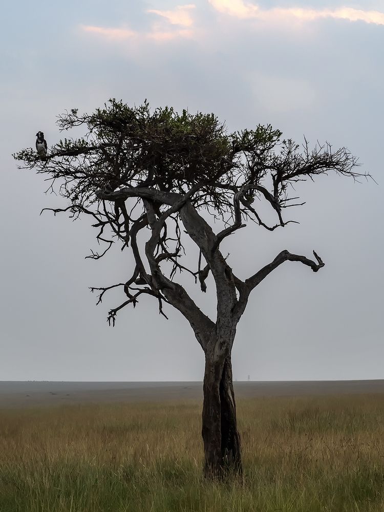 Photograph by Минаева Вера