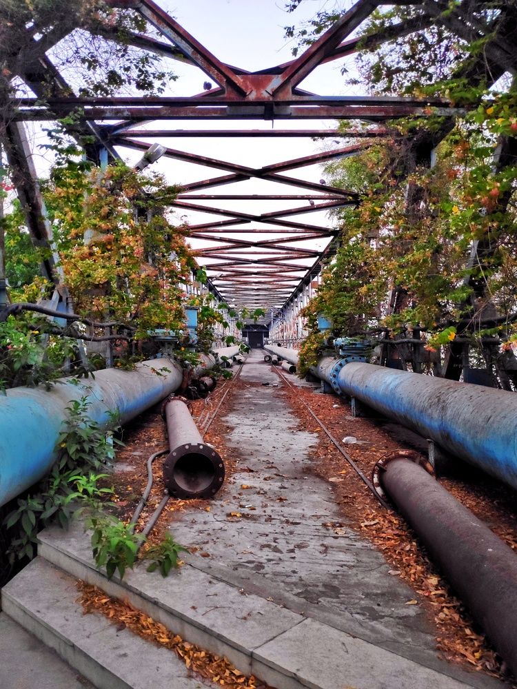 Photograph by Vivek Gohil