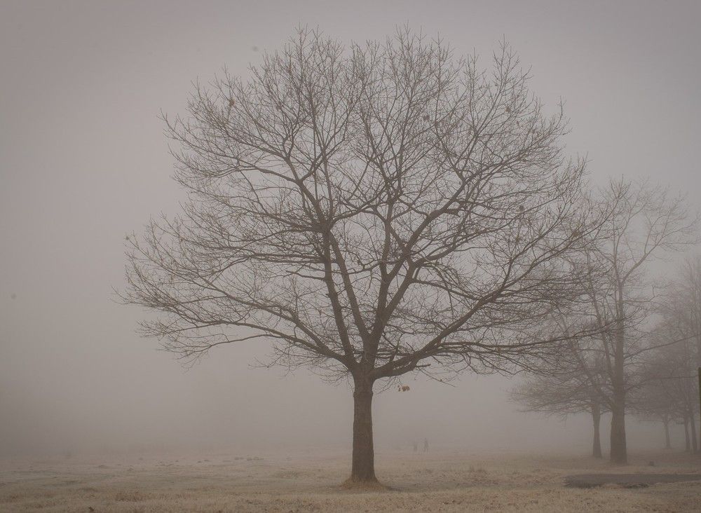 Фотография автора Оксана Белозерская