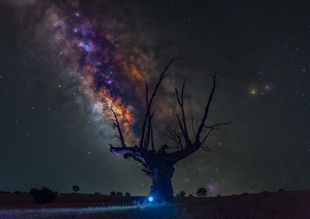 Photograph by Francisco Javier Huertas Cabrera