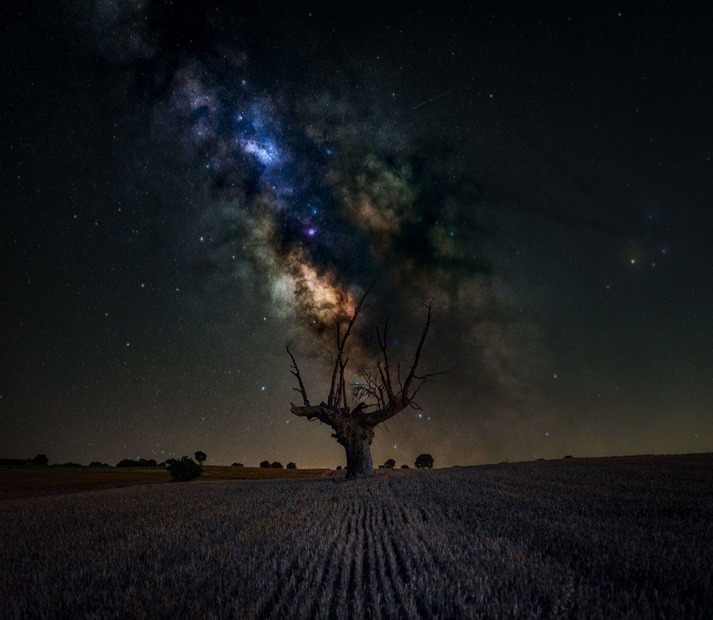 Photograph by Francisco Javier Huertas Cabrera