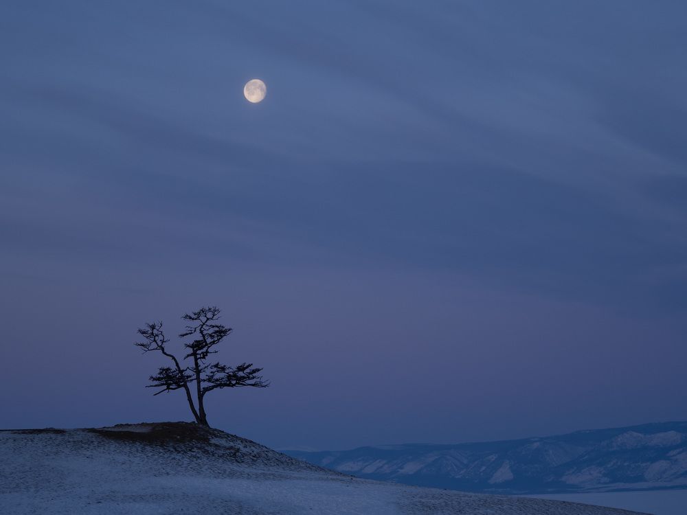 Photograph by Михаил