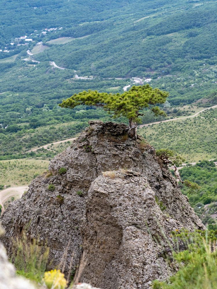 Photograph by Михаил