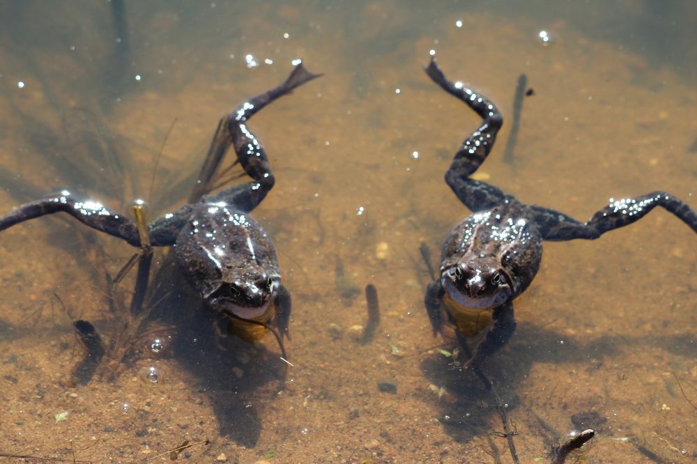 Photograph by Елена Терскова