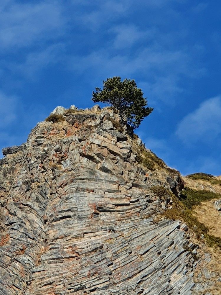 Photograph by Лидия Лащева