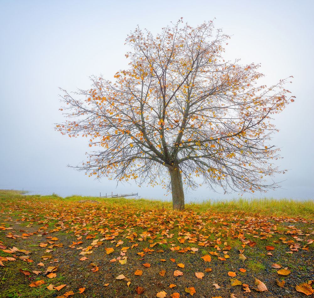 Photograph by  Михаил