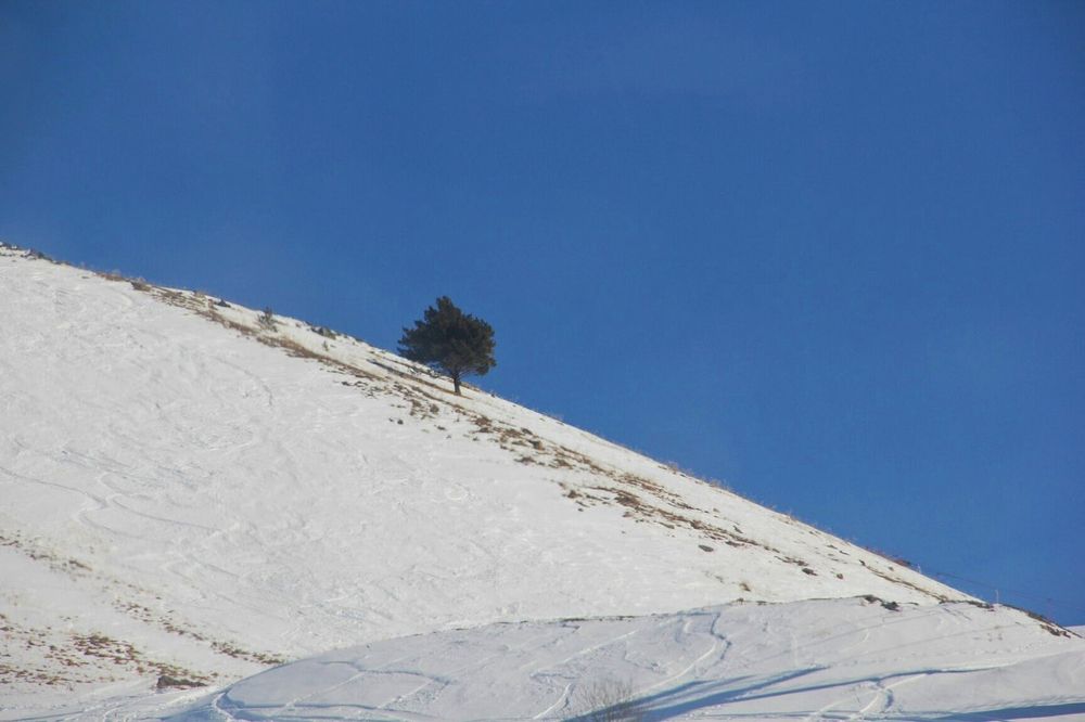 Photograph by Дарья Кирина