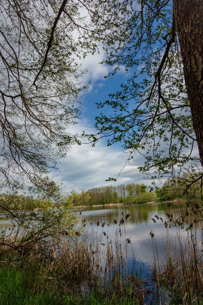 Photograph by Юлия Залогина