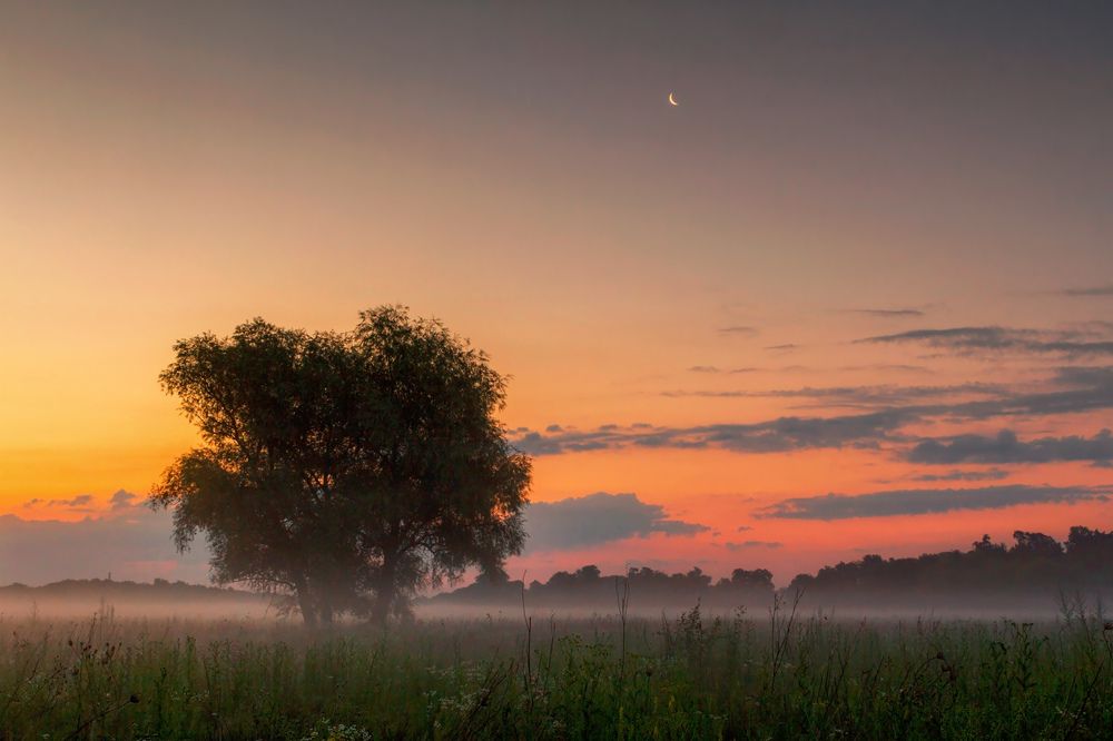 Photograph by Сарапулов Игорь