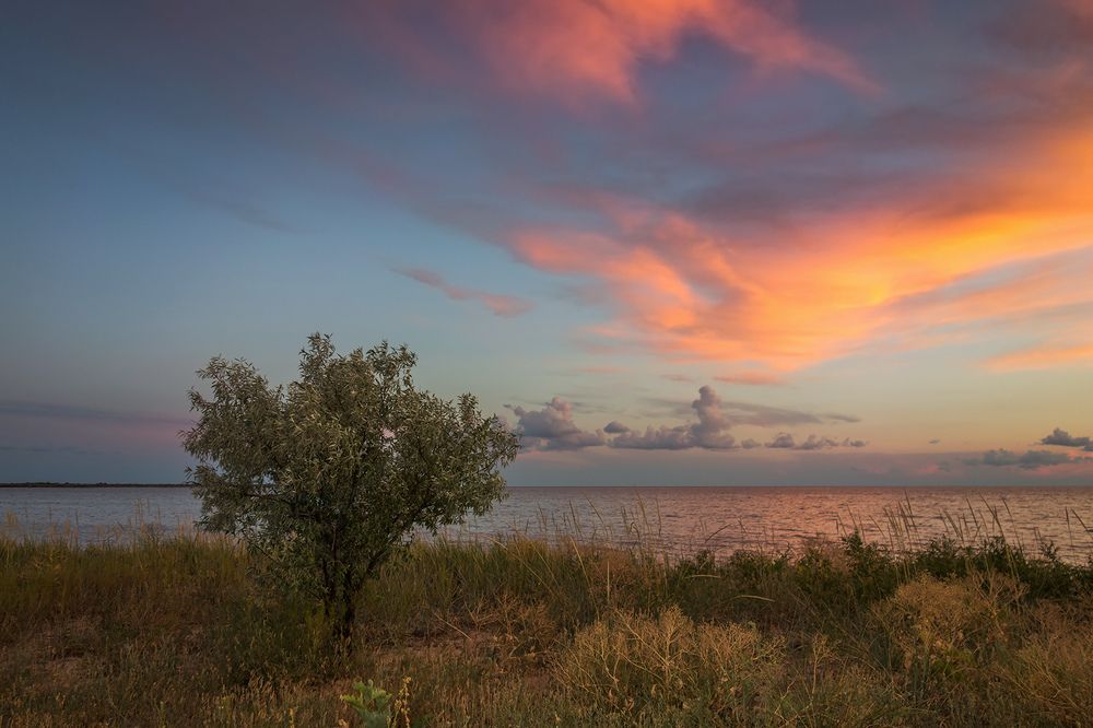 Photograph by Сарапулов Игорь