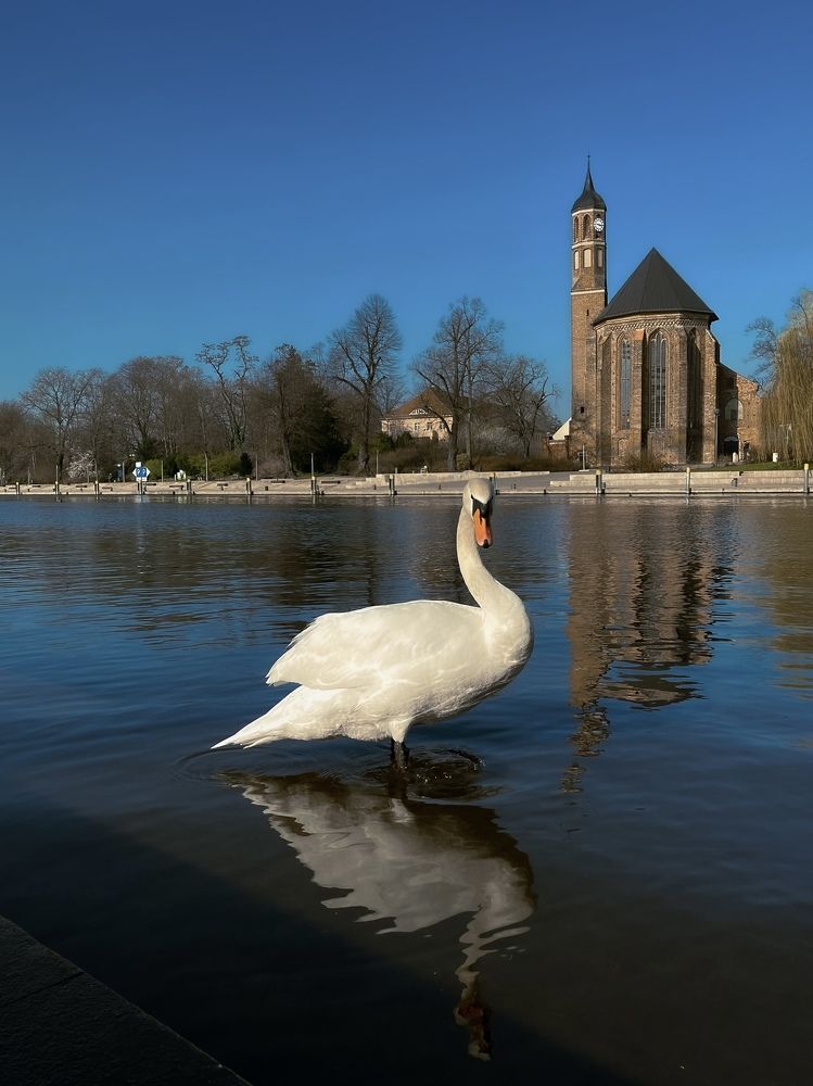 Photograph by Елена Лагойская