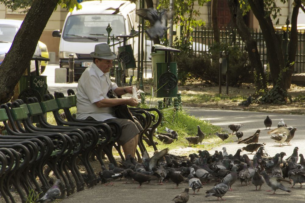 Photograph by Cojanu Silviu