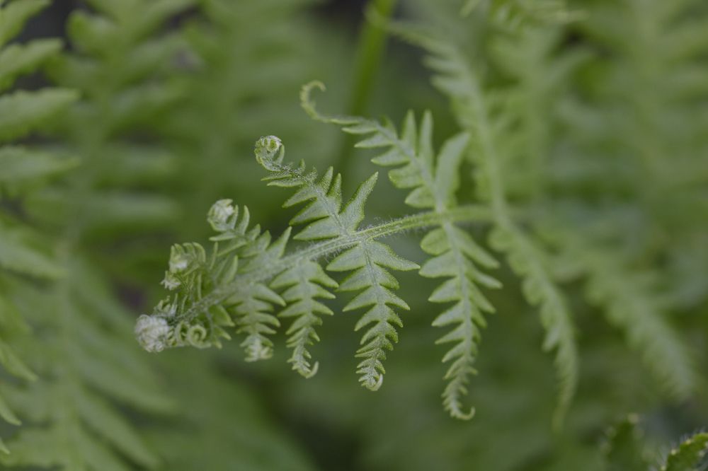 Photograph by Надежда Зайцева