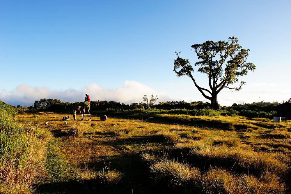Photograph by Сергей Сережников