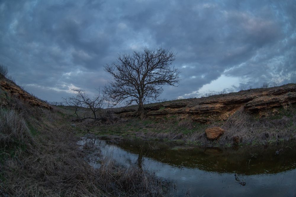 Photograph by Олег Ибрагимов