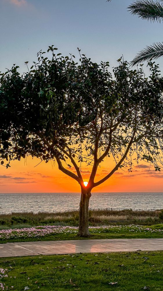 Photograph by Alena Rrylov