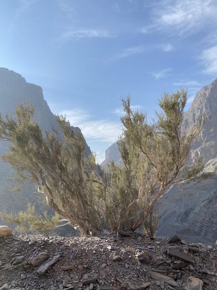 Photograph by Waleed Yousuf Alwahaibi