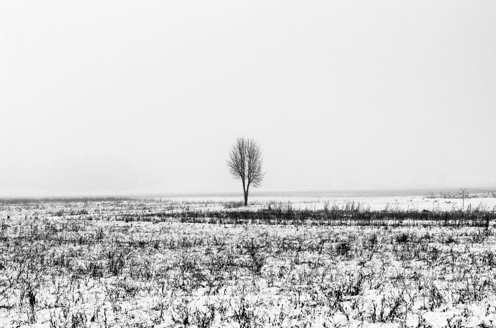 Photograph by Lothar Boris Piltz