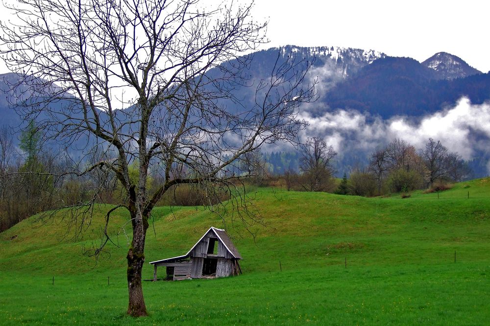 Photograph by Lothar Boris Piltz