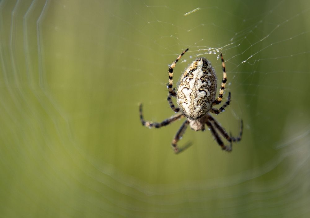 Photograph by Анна Евдокименко