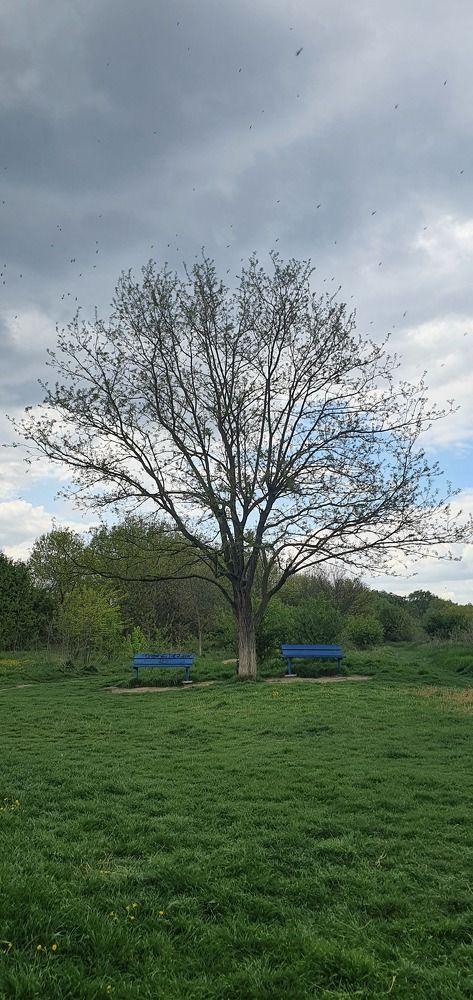 Photograph by Анастасия Трофимовская