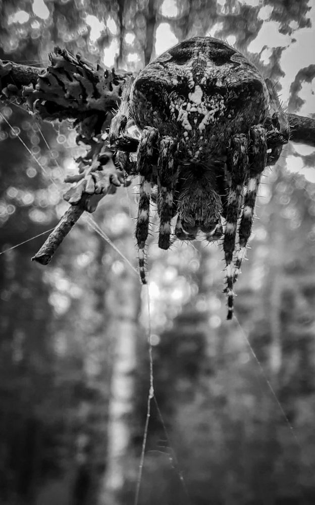 Фотография автора Войнов Дмитрий