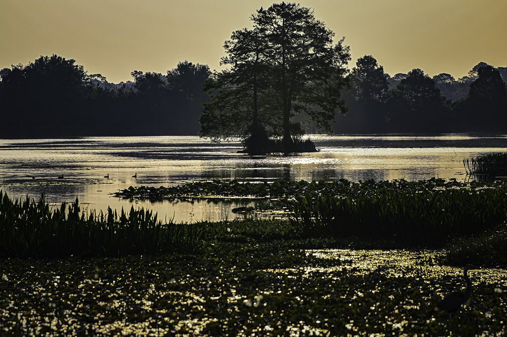 Фотография автора Ray Asiala