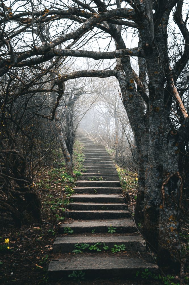 Фотография автора Павел Арсеев