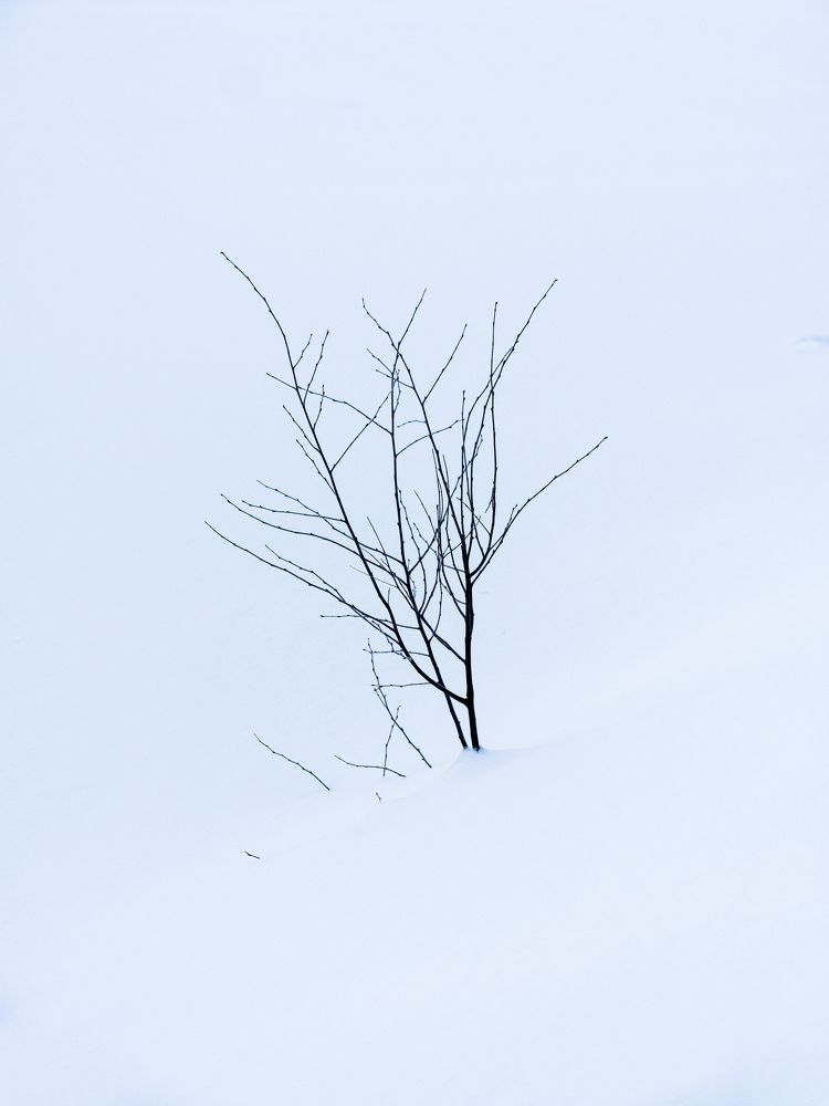 Фотография автора Павел Арсеев