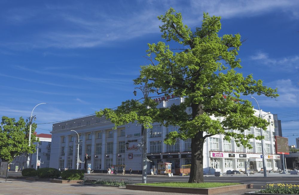 Photograph by Alexandra Chalova