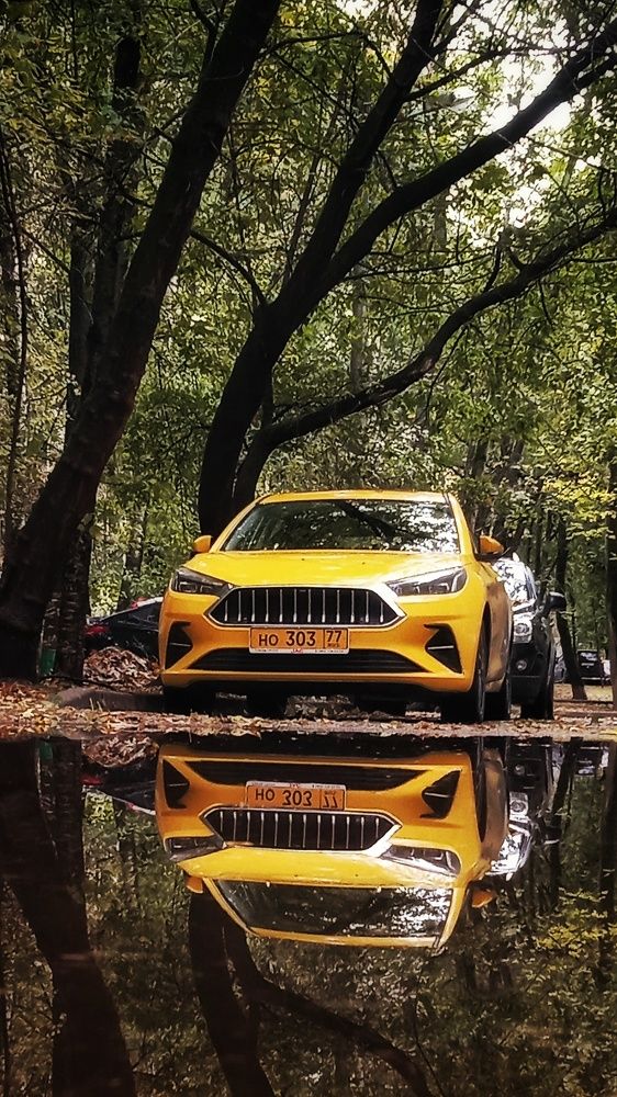 Фотография автора Михаил Кабанов