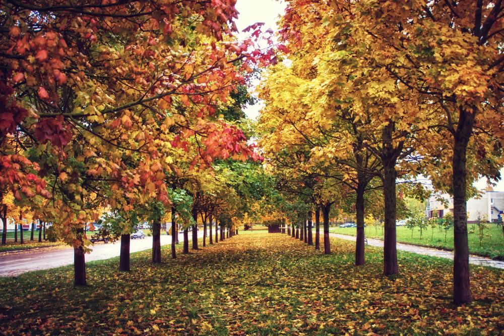 Фотография автора Юлия Кранина