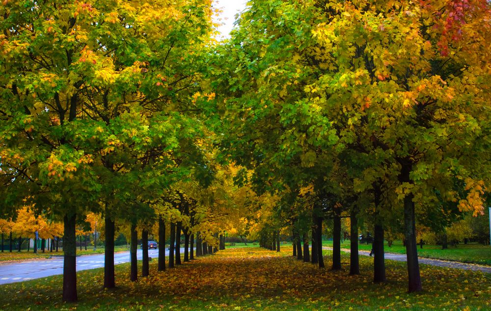 Фотография автора Юлия Кранина