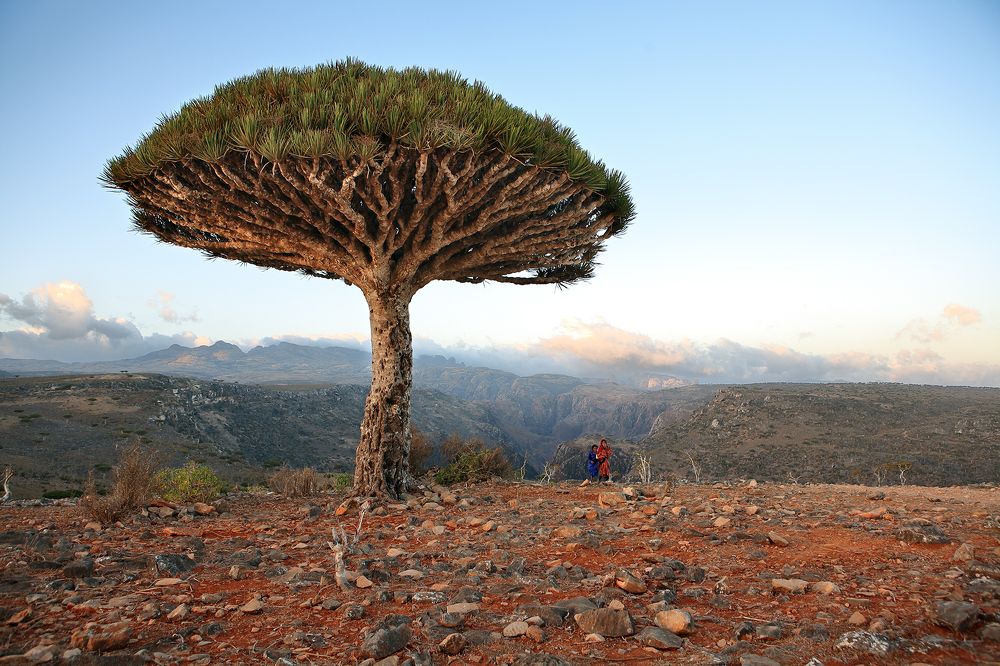 Photograph by Vladimir Melnik