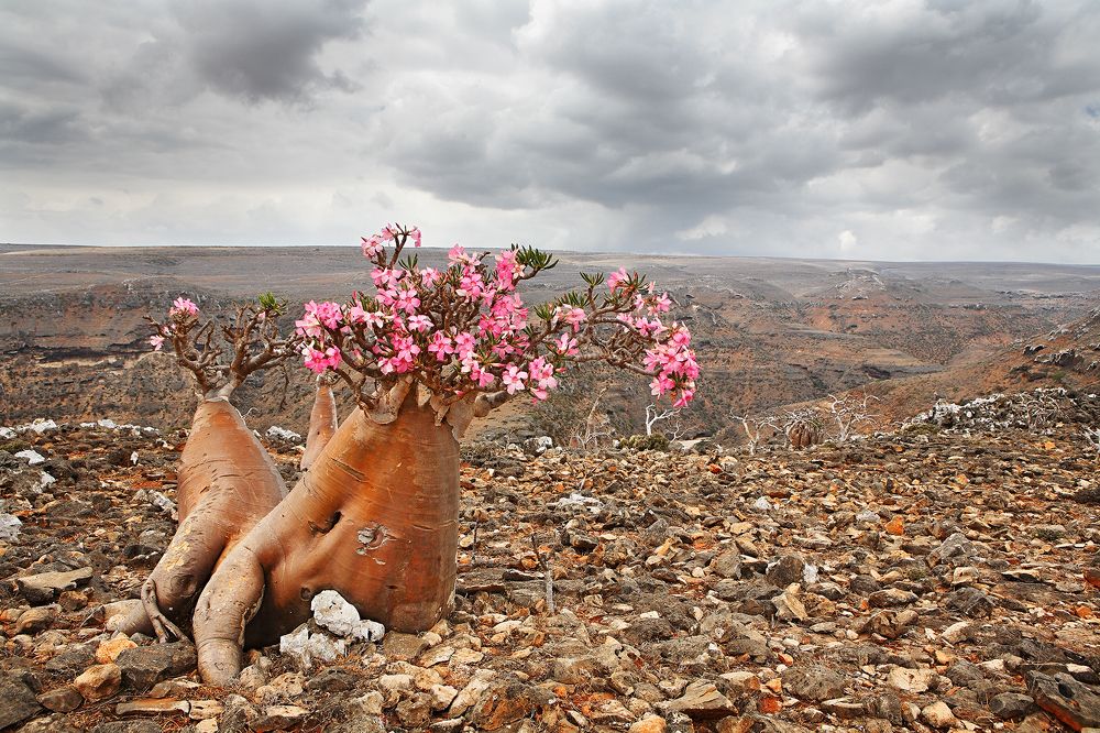 Photograph by Vladimir Melnik
