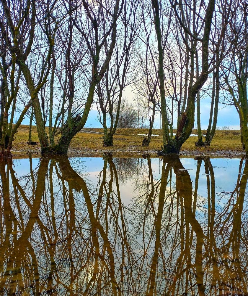 Photograph by Елена Никитина