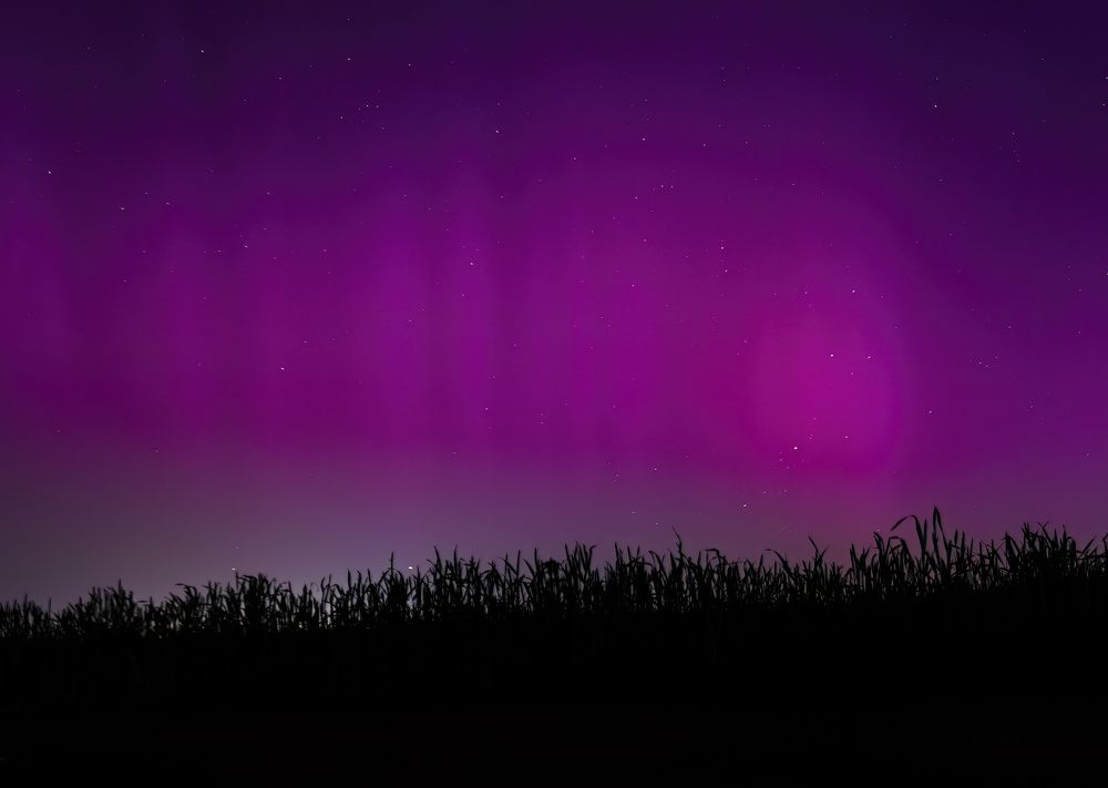 Photograph by Данил Ляпин