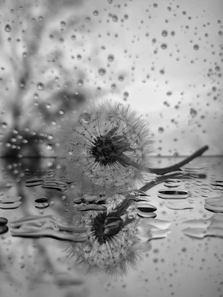 Photograph by Дина Желанова