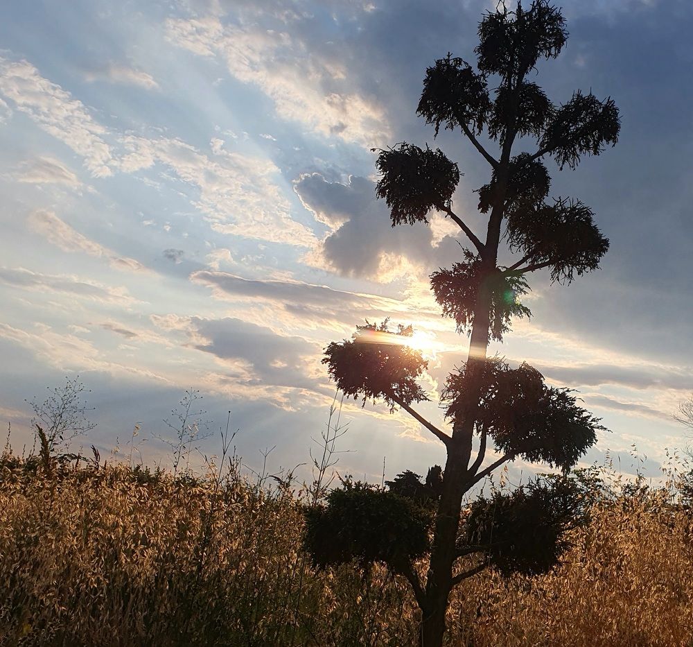 Photograph by Jasmina Zafer