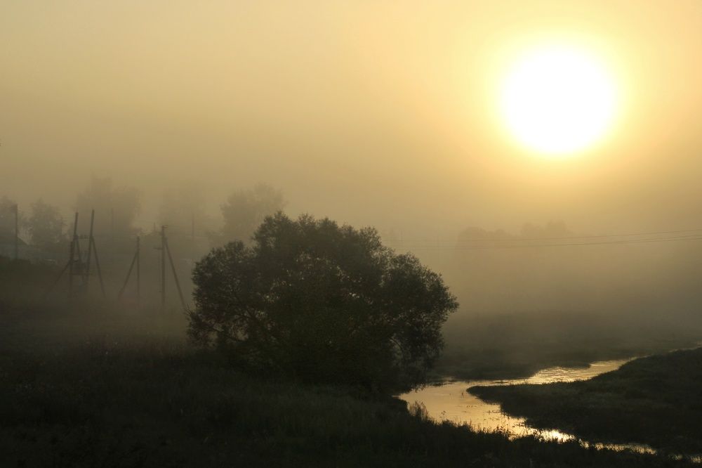 Photograph by Инна Карасева