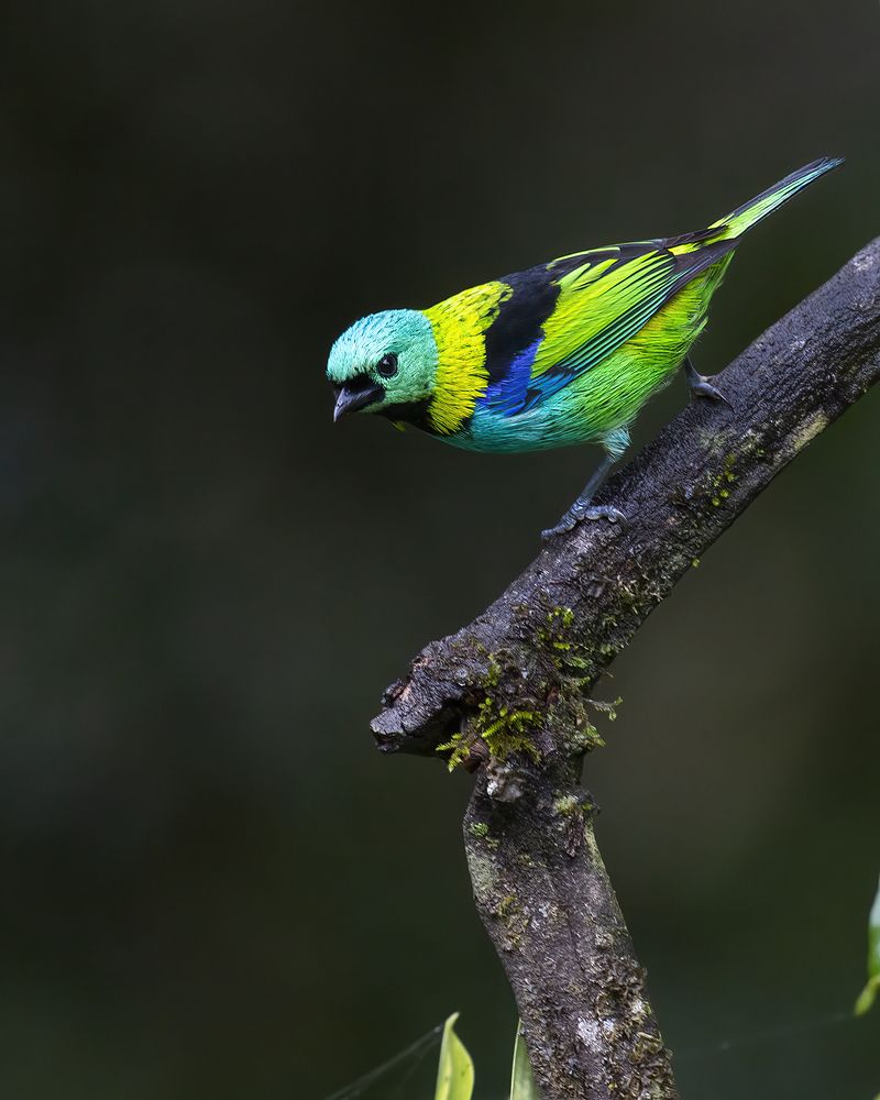 Photograph by JEFFERSON RODRIGUES DE OLIVEIRA E SILVA