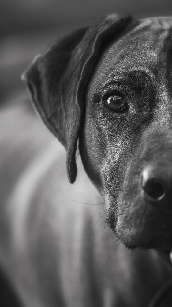 Photograph by Елена Раздвилова