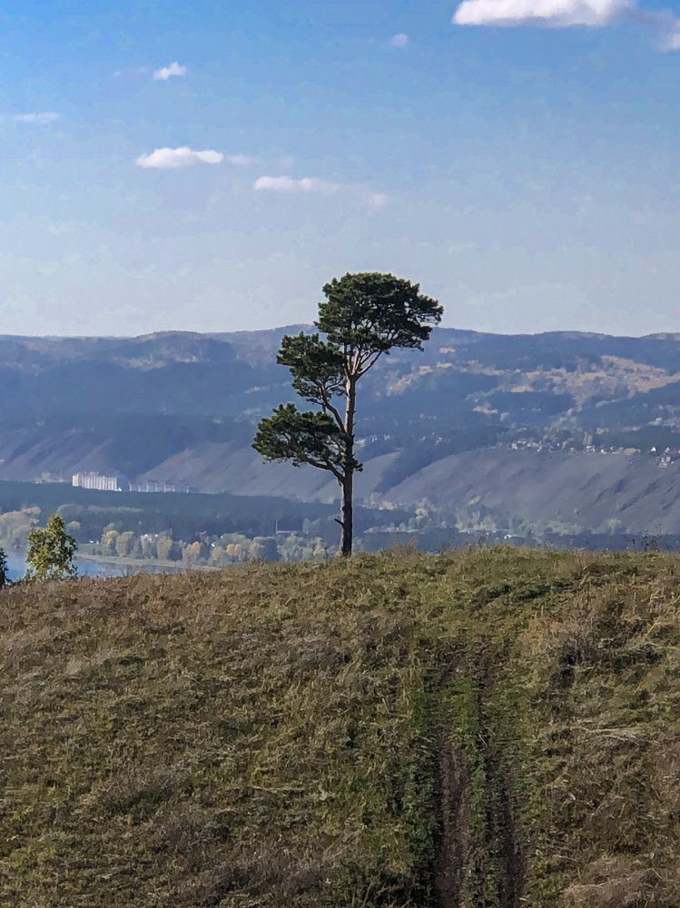 Фотография автора Светлана Гончарова