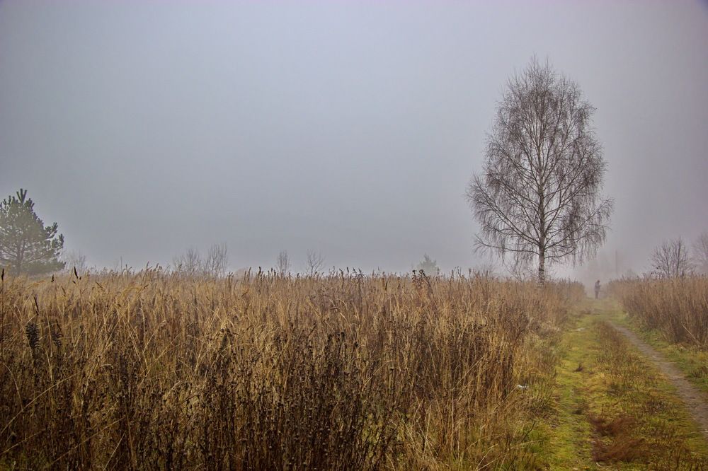 Фотография автора Анатолий Борисов
